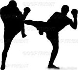 Kickboxing em Lins